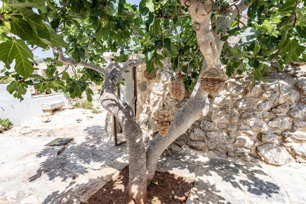 Bed and Breakfast Trullo Santovia Sant Isidoro  Esterno foto